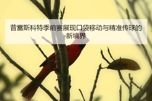 普雷斯科特季前赛展现口袋移动与精准传球的新境界
