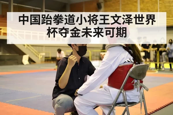 中国跆拳道小将王文泽世界杯夺金未来可期